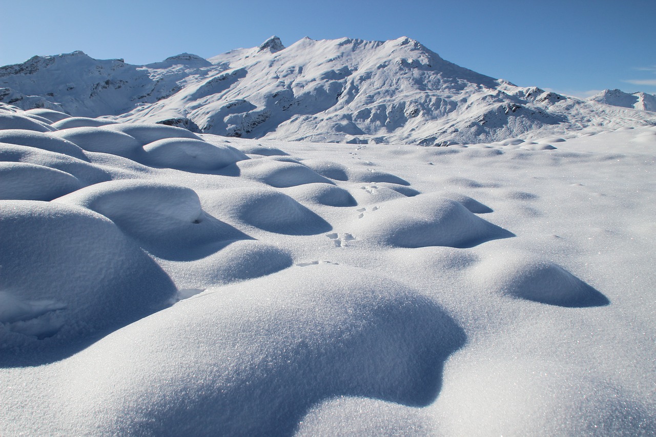 Sapporo Snow Festival - Japan's Winter Wonderland